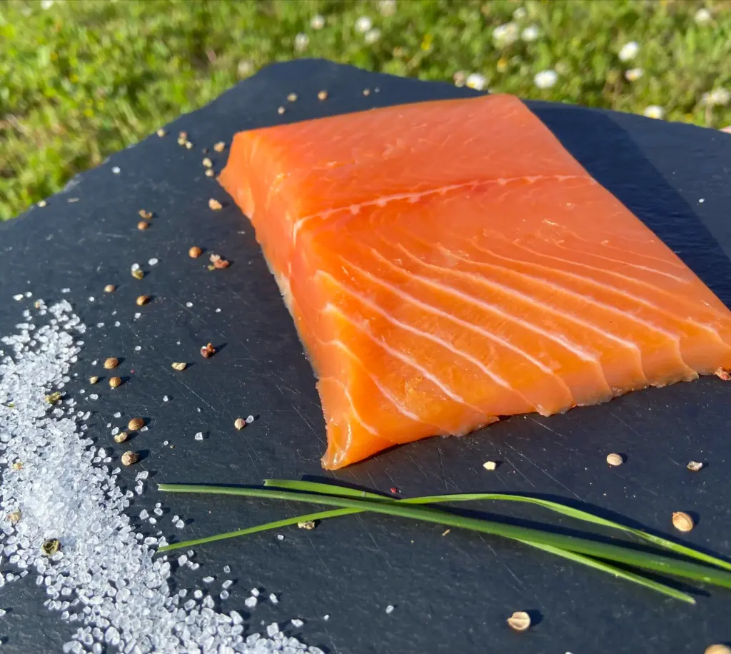 🐟 Pavé de Truite Fario – Poisson Frais de Normandie (au kg, Click & Collect)