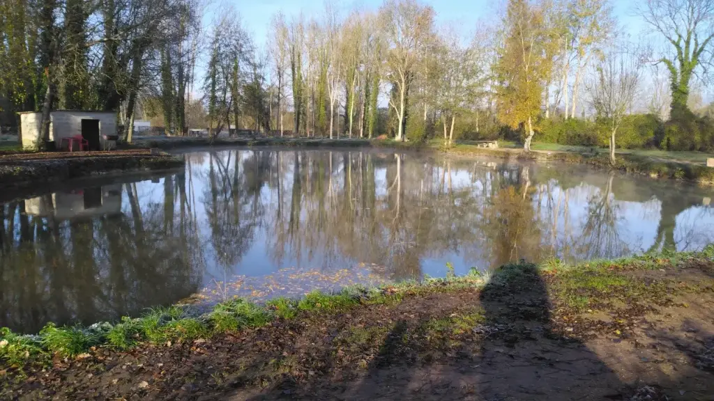 Journée complète étang grosses truites